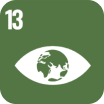 Obiettivo di sviluppo sostenibile dell'ONU 13