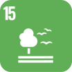 Obiettivo di sviluppo sostenibile dell'ONU 15