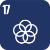Obiettivo di sviluppo sostenibile dell'ONU 17